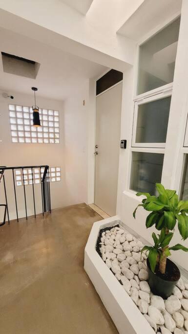 D-08Novaga Downtown Cancun Dış mekan fotoğraf